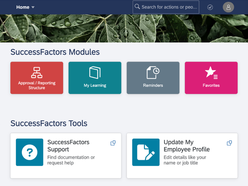 Screenshot of the Success Factors website.