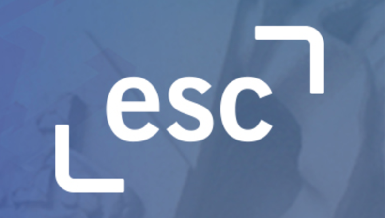 Enterprise Service Centre